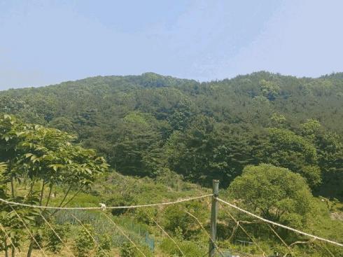 2025타경684 대구지방법원 아파트 법원경매 사진