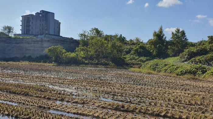 2024타경85145 경매 물건 대표 사진