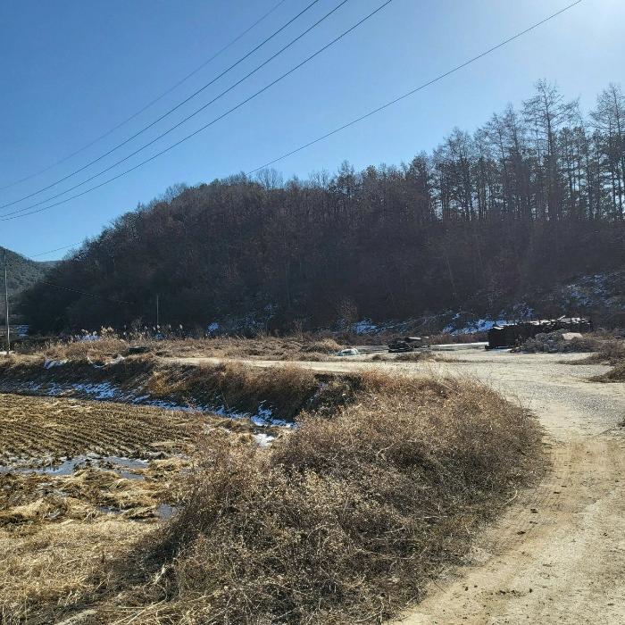 2024타경10197 경매 물건 대표 사진
