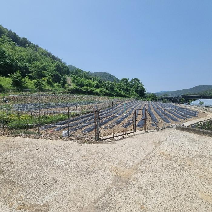 2024타경108620 경매 물건 대표 사진