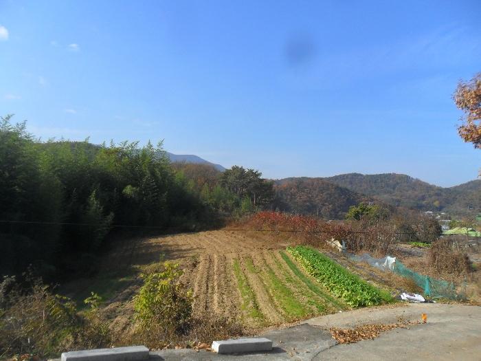 2024타경2353 경매 물건 대표 사진