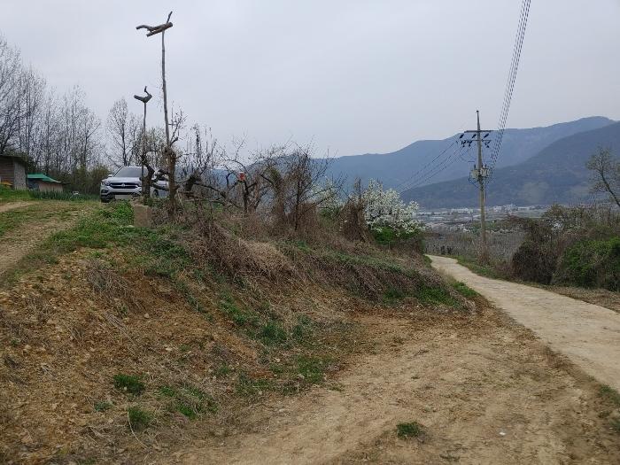 2024타경523 경매 물건 대표 사진