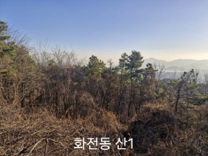 2025타경102329 경매 물건 대표 사진