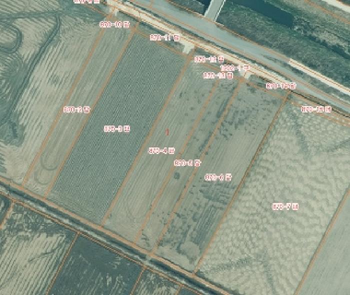 2025타경50198 경매 물건 대표 사진