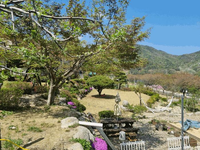2025타경100312 경매 물건 대표 사진