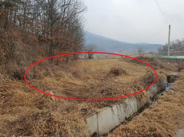 2024타경12199 경매 물건 대표 사진