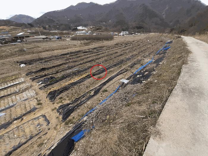 2025타경31065 경매 물건 대표 사진