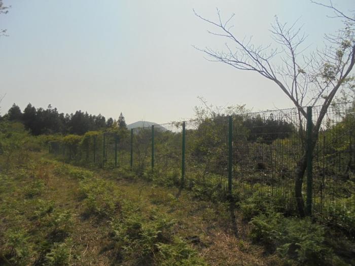 2016타경3098 경매 물건 대표 사진