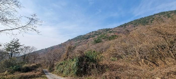 2023타경6337 경매 물건 대표 사진