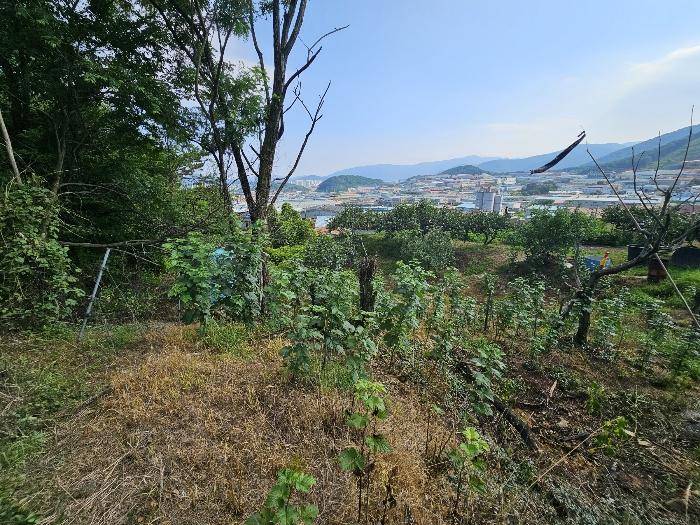 2024타경4304 경매 물건 대표 사진
