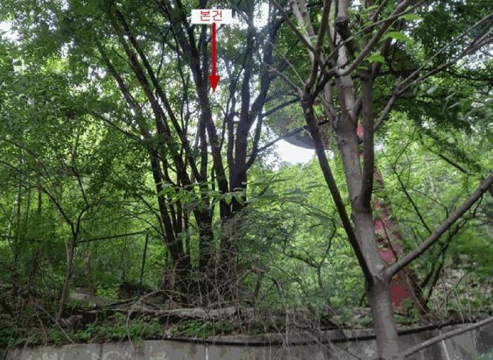 2025타경102728 경매 물건 대표 사진