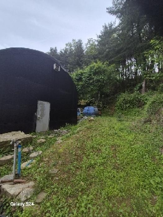 2025타경102870 서울중앙지방법원 임야 법원경매 사진