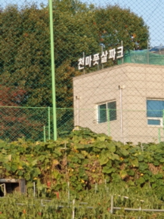 2024타경62650 서울동부지방법원 전답 법원경매 사진