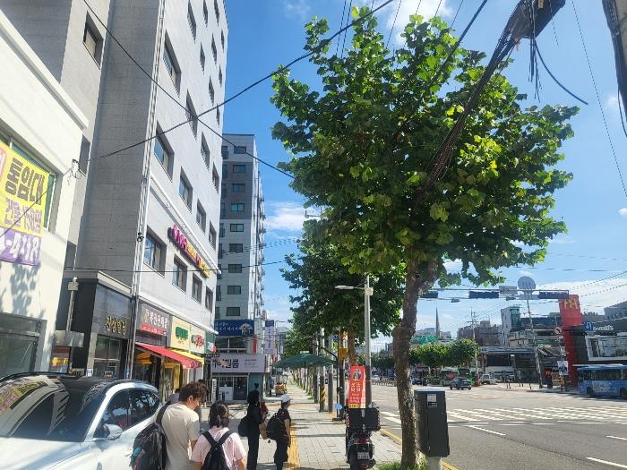 2024타경135964 경매 물건 대표 사진