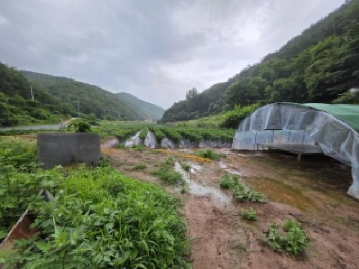2025타경10679 경매 물건 대표 사진
