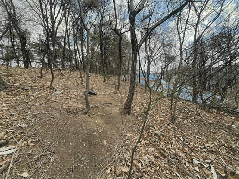 2025타경9001 서울남부지방법원 대지 법원경매 사진