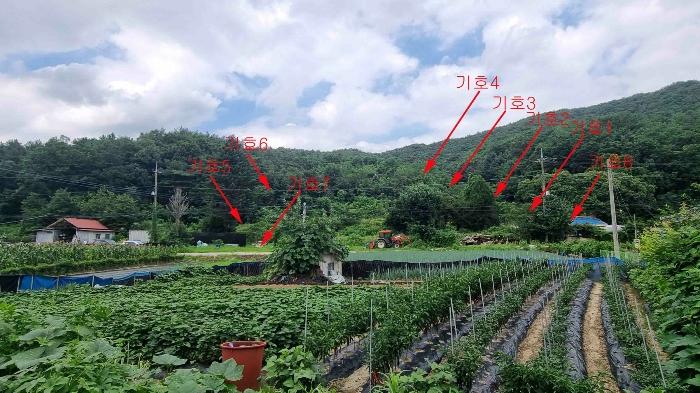 2024타경4479 경매 물건 대표 사진