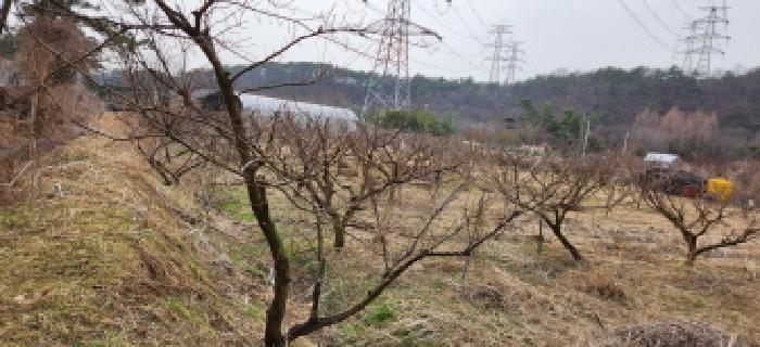 2025타경1088 경매 물건 대표 사진