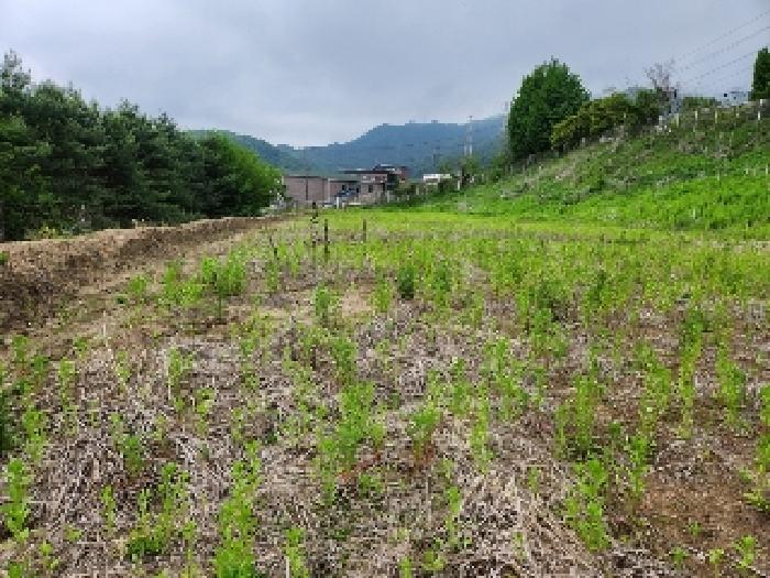 2025타경1729 경매 물건 대표 사진