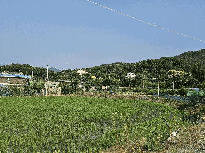 2025타경2159 경매 물건 대표 사진