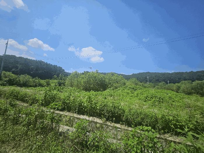 2025타경3046 경매 물건 대표 사진