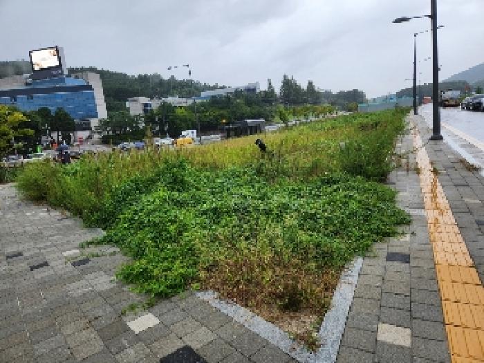 2025타경4087 경매 물건 대표 사진