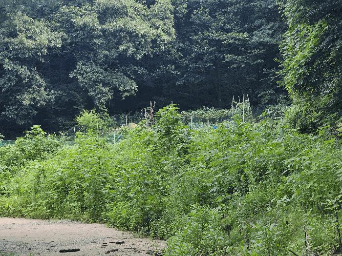 2025타경72776 경매 물건 대표 사진