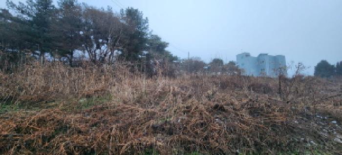 2025타경73783 경매 물건 대표 사진