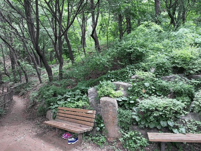 2025타경51606 서울서부지방법원 임야 법원경매 사진