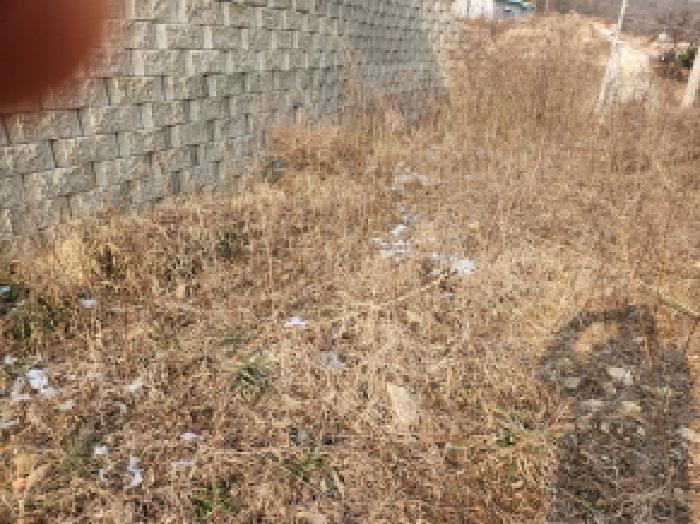 2024타경17153 경매 물건 대표 사진