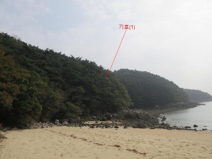 2024타경566921 인천지방법원 임야 법원경매 사진