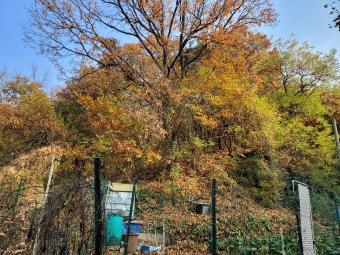 2024타경572025 경매 물건 대표 사진