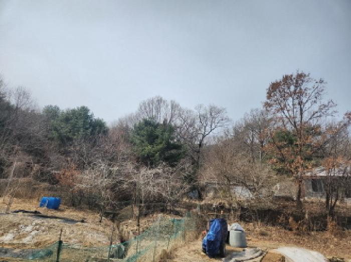 2025타경507963 경매 물건 대표 사진