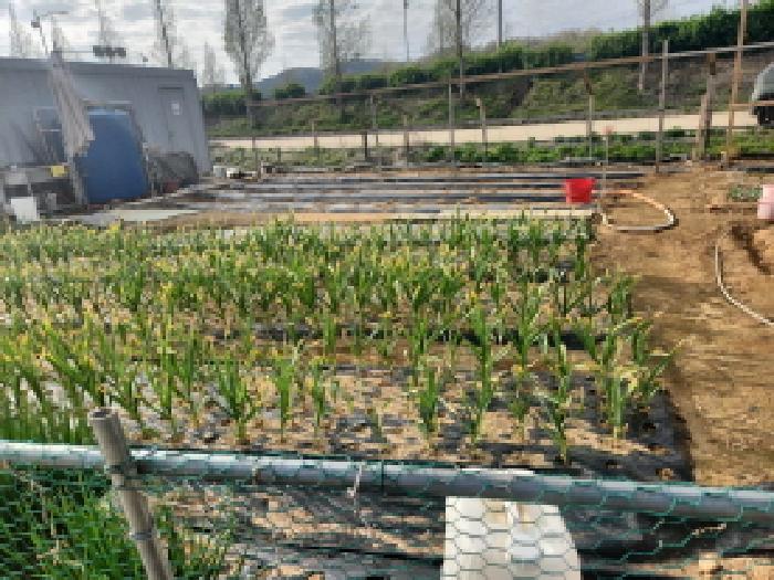 2025타경508603 경매 물건 대표 사진