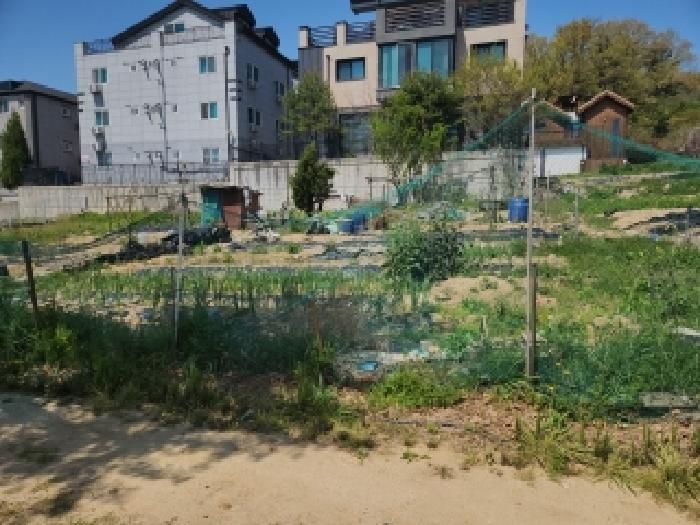 2025타경508744 인천지방법원 다가구주택 법원경매 사진