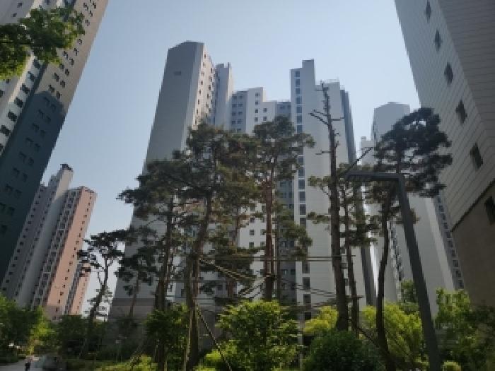 2025타경509061 경매 물건 대표 사진