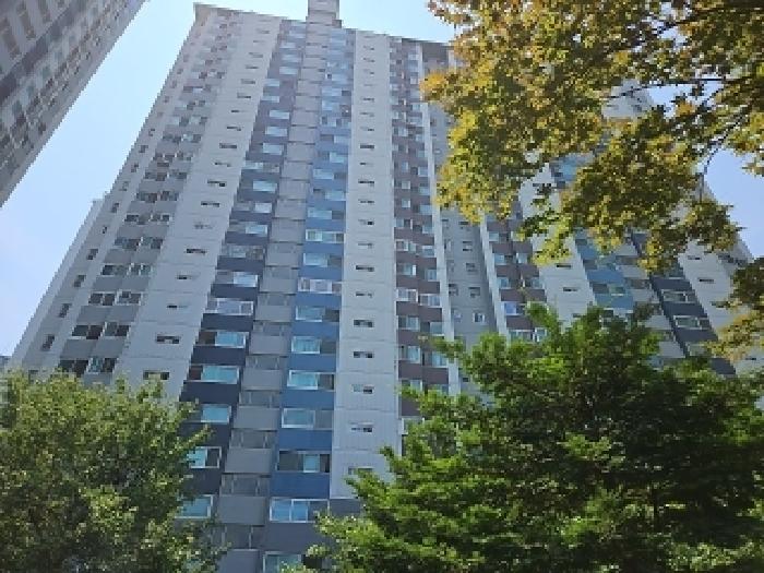 2025타경509351 경매 물건 대표 사진