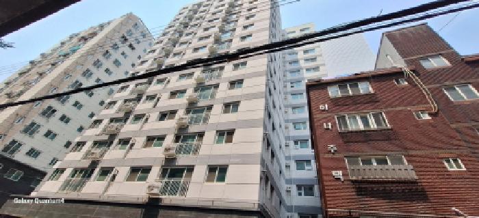 2025타경509447 경매 물건 대표 사진