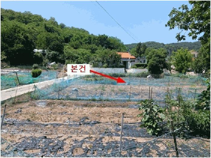 2025타경509892 경매 물건 대표 사진