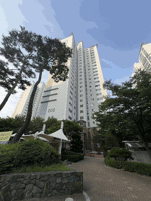 2025타경509969 경매 물건 대표 사진