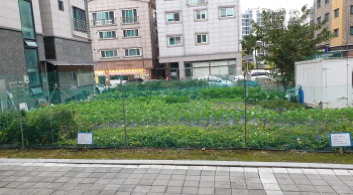 2025타경34549 부천지원 대지 법원경매 사진