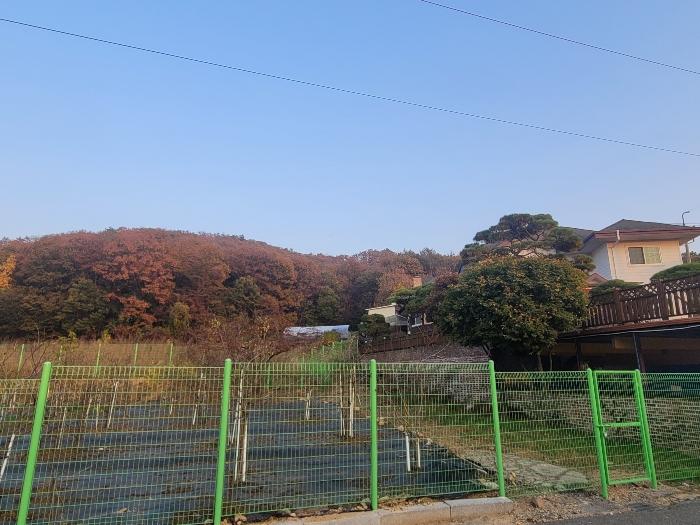 2023타경10367 경매 물건 대표 사진