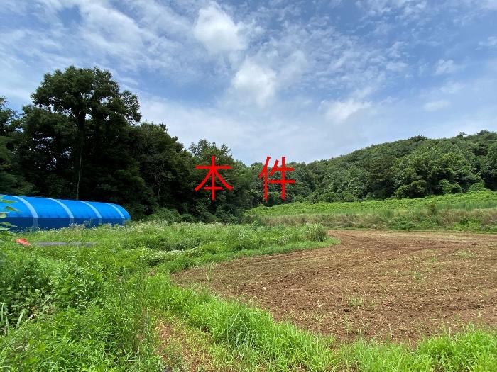 2024타경80431 경매 물건 대표 사진
