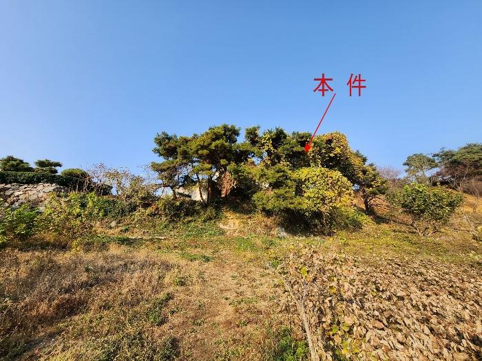 2024타경95662 경매 물건 대표 사진