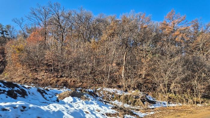 2024타경99718 경매 물건 대표 사진