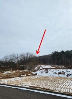 2025타경51423 경매 물건 대표 사진
