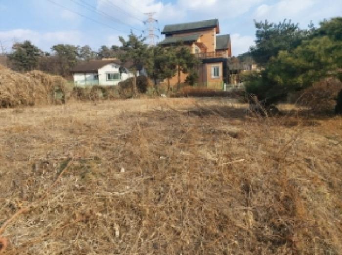 2025타경52457 경매 물건 대표 사진