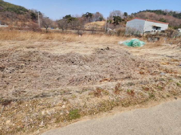 2025타경54747 경매 물건 대표 사진