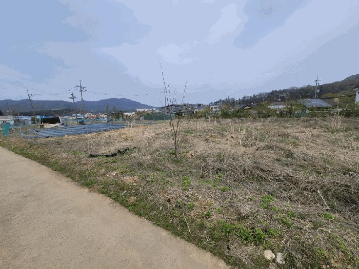 2025타경55445 경매 물건 대표 사진