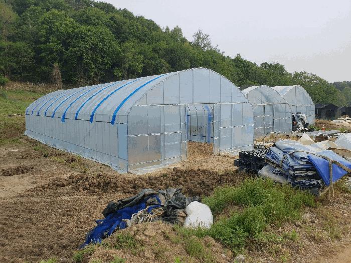 2025타경55702 경매 물건 대표 사진